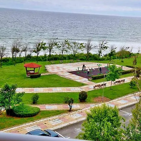 амон ра 普里莫尔斯科